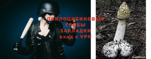 мескалин Козельск