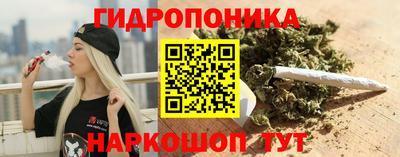 молекула духа Волжск