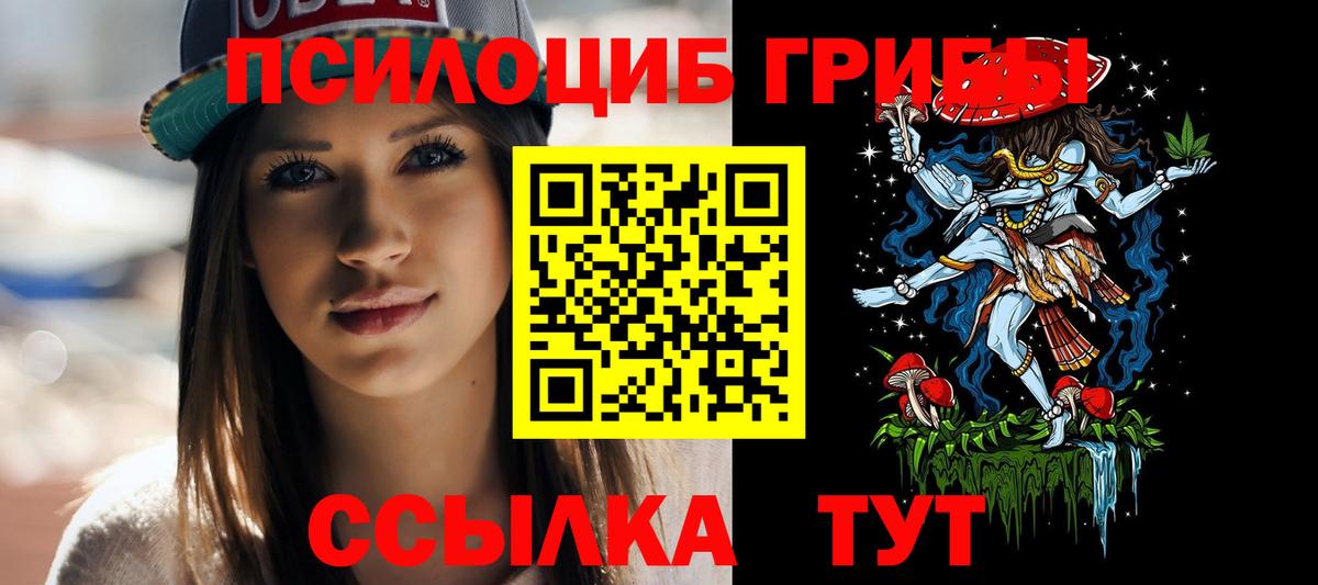 Галлюциногенные грибы Psilocybine cubensis Шали