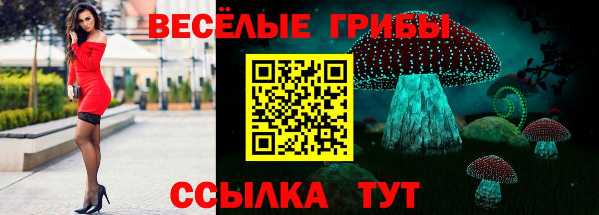 Галлюциногенные грибы ЛСД  Вход с VPN  Шали 