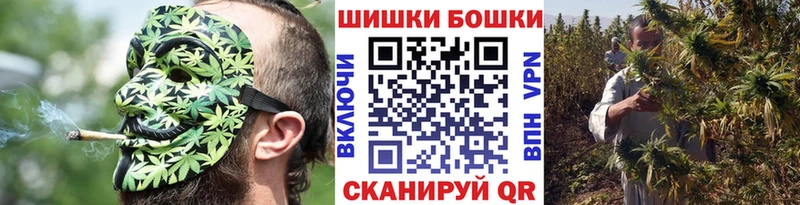 Марихуана сатива  хочу наркоту  Шали 